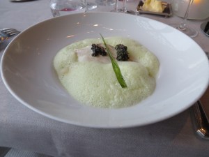 Turbot